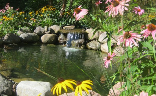 Breezy Hill Nursery Water Features