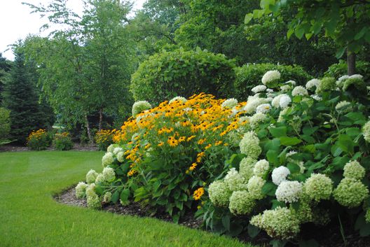 Breezy Hill Nursery Planting