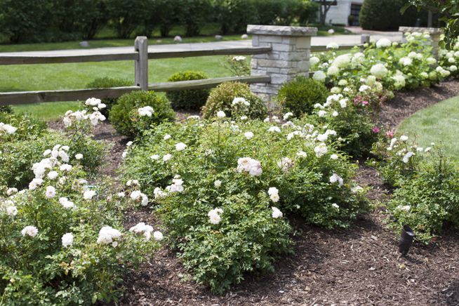 Breezy Hill Nursery Planting