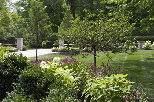 Breezy Hill Nursery Planting