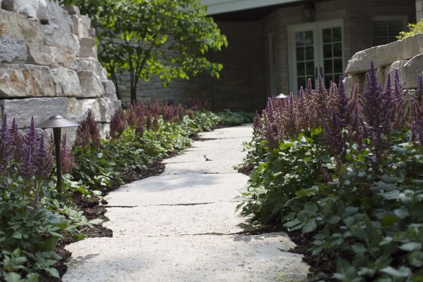 Breezy Hill Nursery Planting