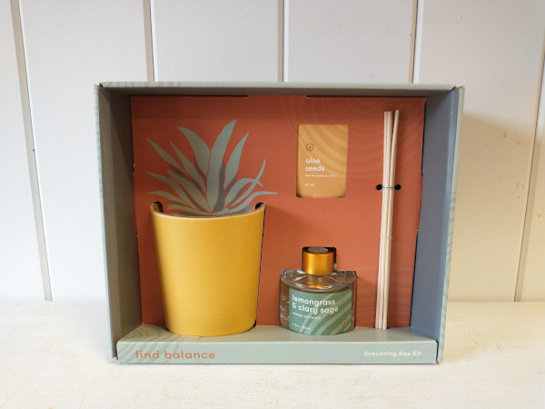 Find Balance - Grounding Aloe Kit