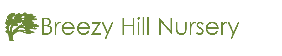 Ecommerce-Kitchen | Breezy Hill Nursery - Main